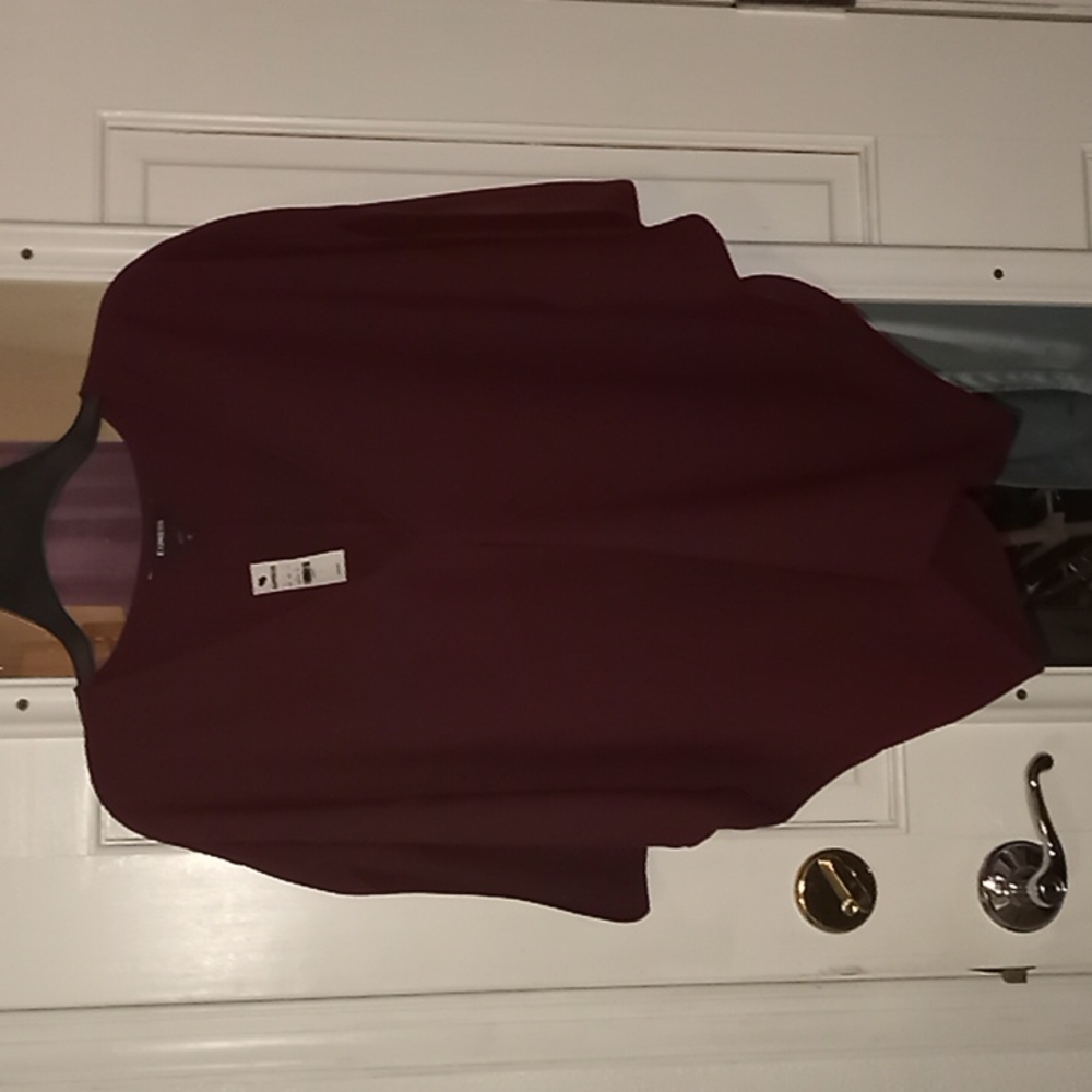 NWT Express Silky V-neck Dolman Wine